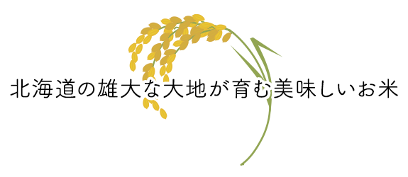 北海道の雄大な大地が育む美味しいお米