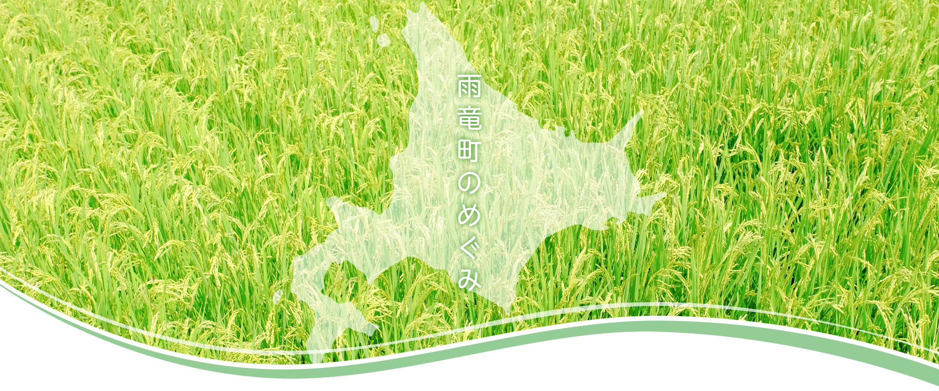 雨竜町のめぐみ